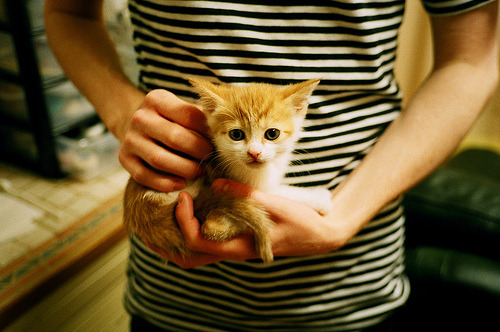 爱游戏体育-_全民冰雕跑：冬日冰雪运动新体验_，全民参与冰雪运动