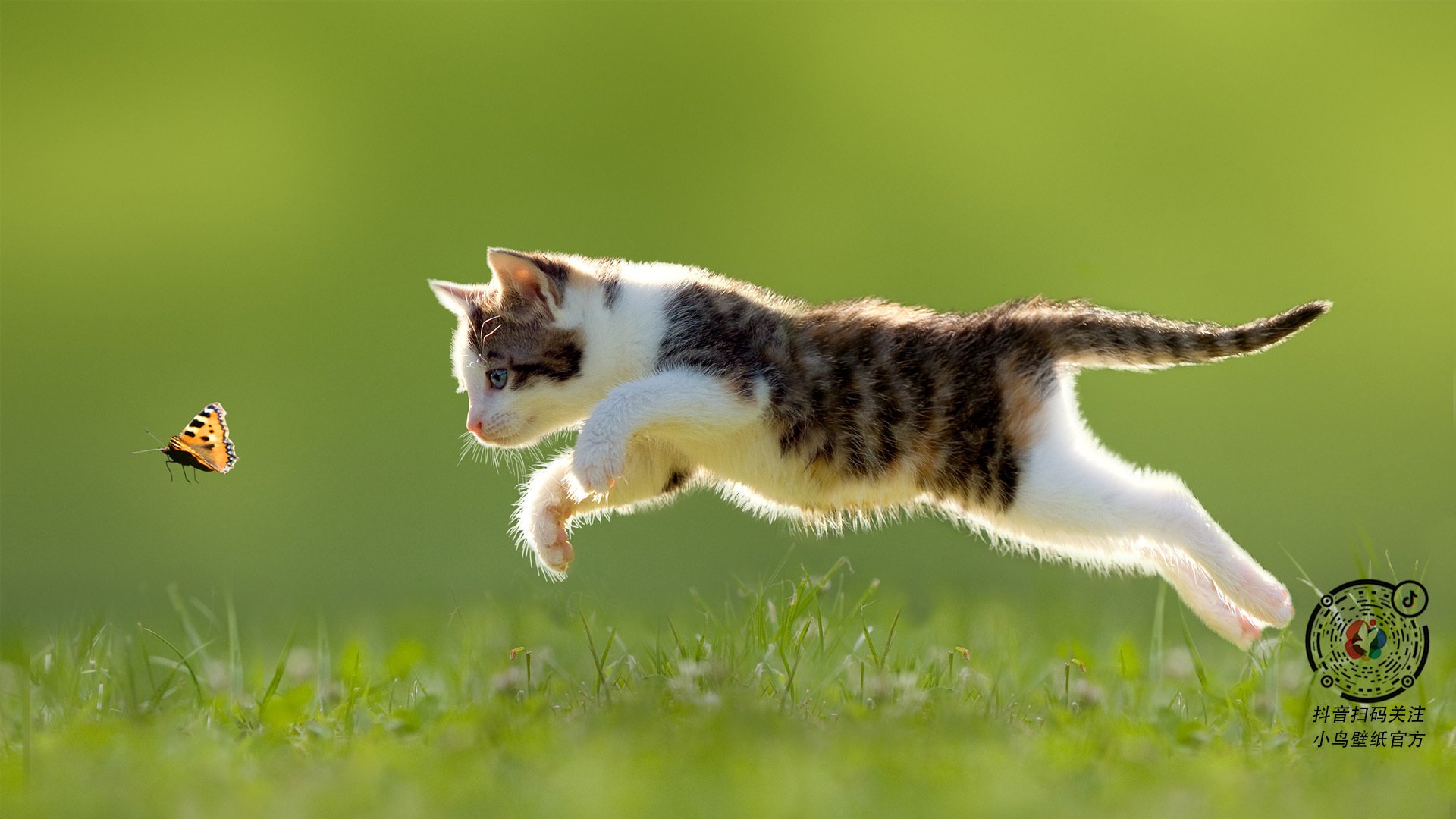 “德甲争冠线逐步拉近，领头羊压力增大”，德甲争四