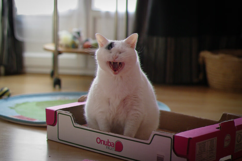 爱游戏官方-“法甲最后冲刺，豪门争夺激烈”，2021法甲大结局