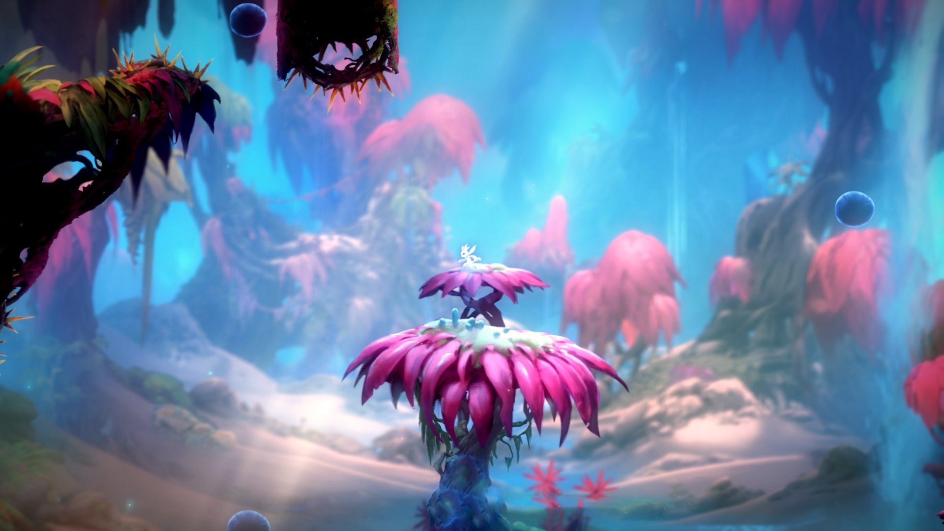 爱游戏官网-伊朗马术协会建立马匹基因数据库，促进马匹选育与训练。，伊朗马球